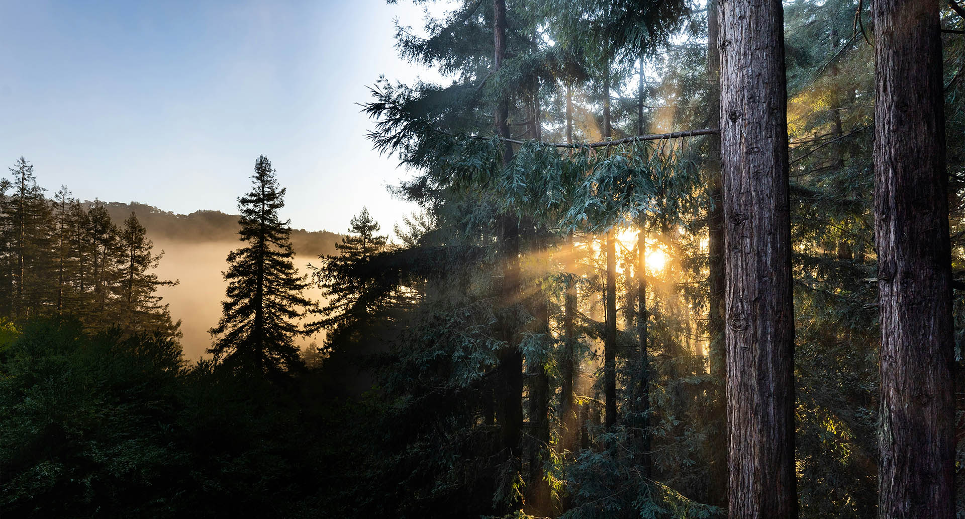 Scenic beauty of Marin County, CA