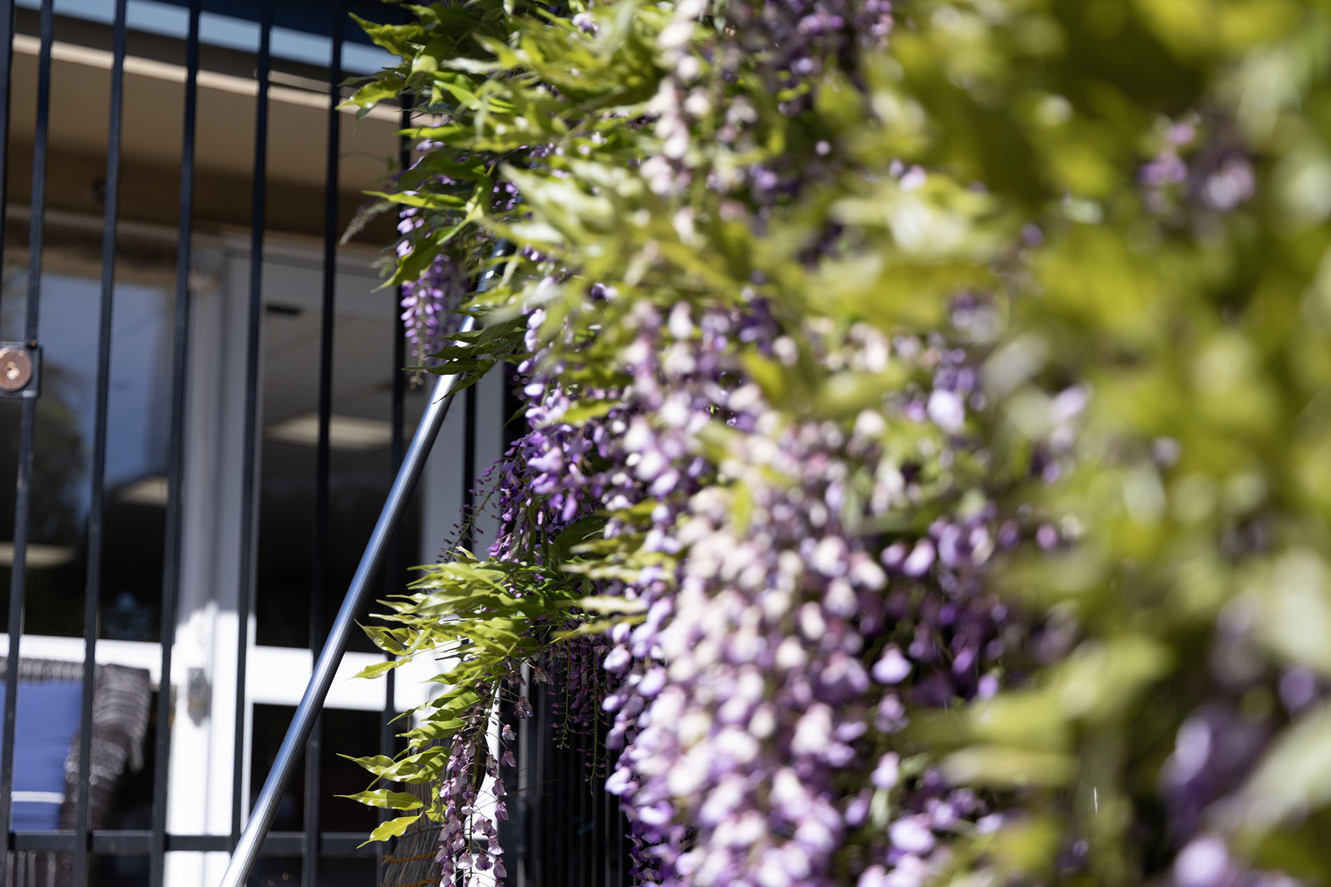 Flowered Gates