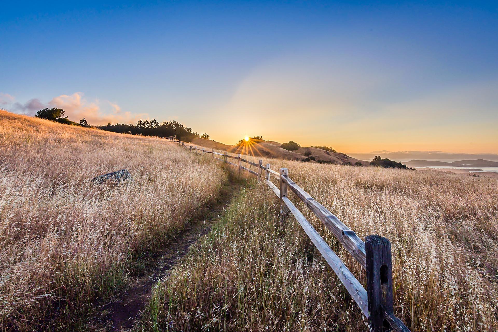 Golden sunset in Marin County, CA