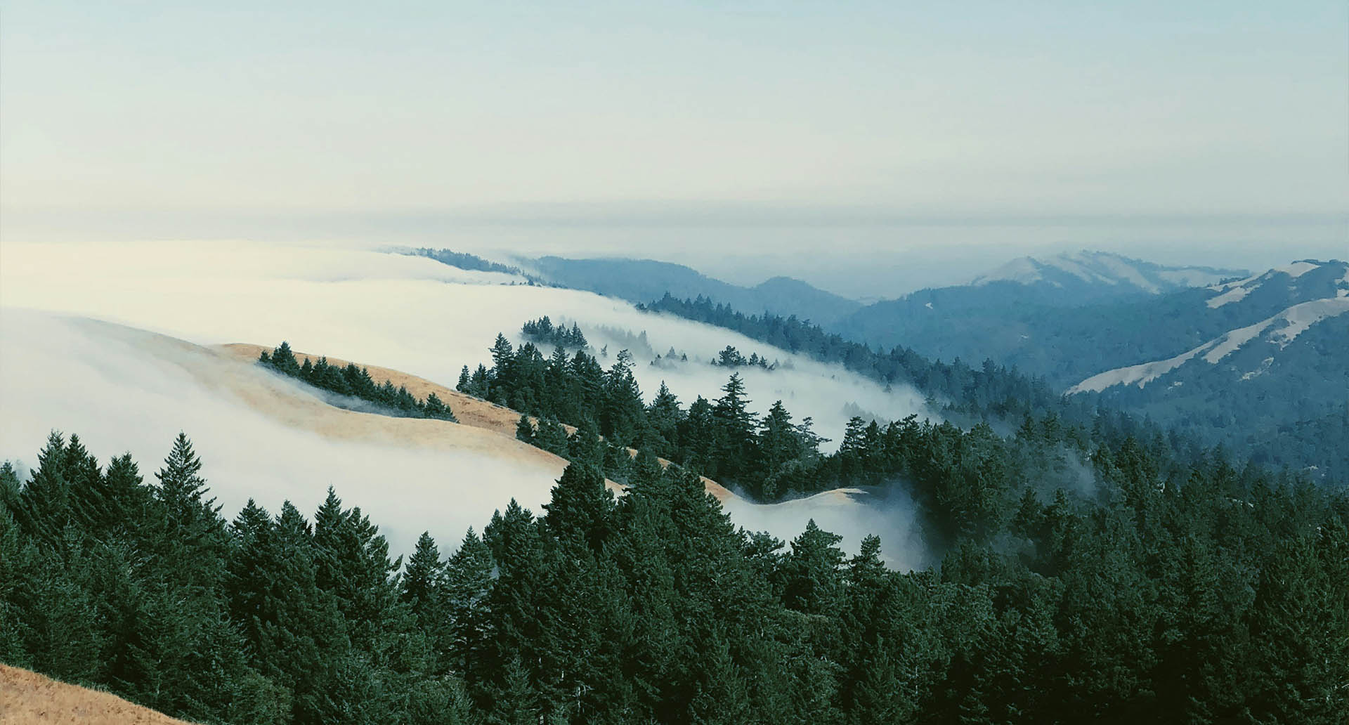 Hills and fog in Marin County, CA