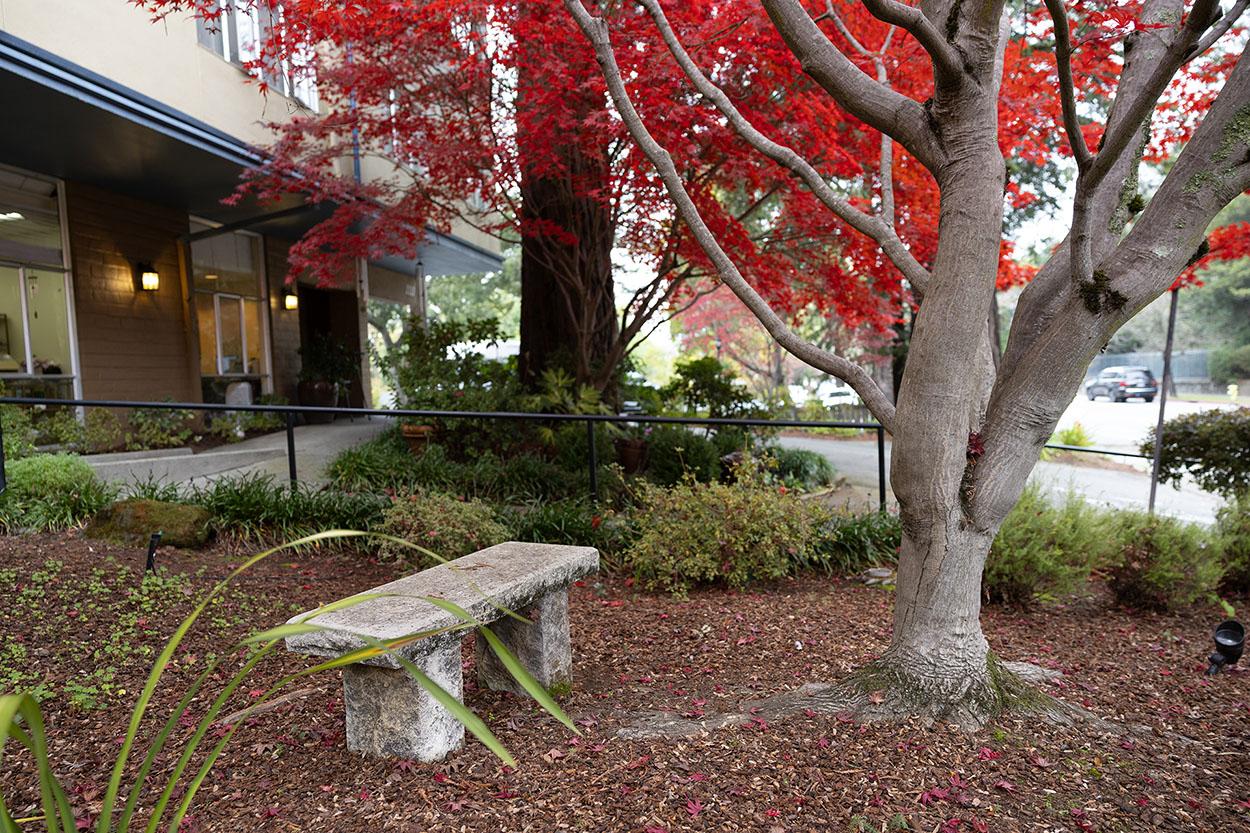 WindChime of Marin - Garden