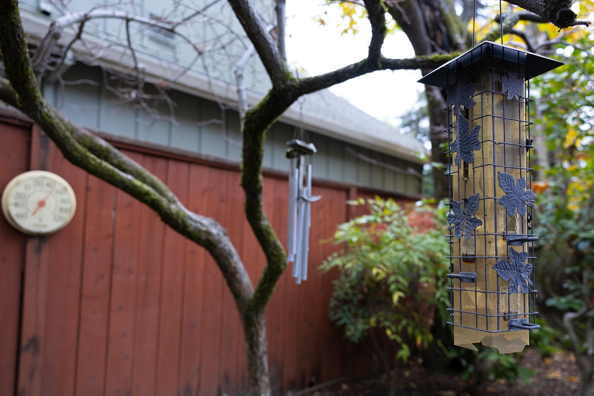 The WindChime Grounds (Fall) Image #6