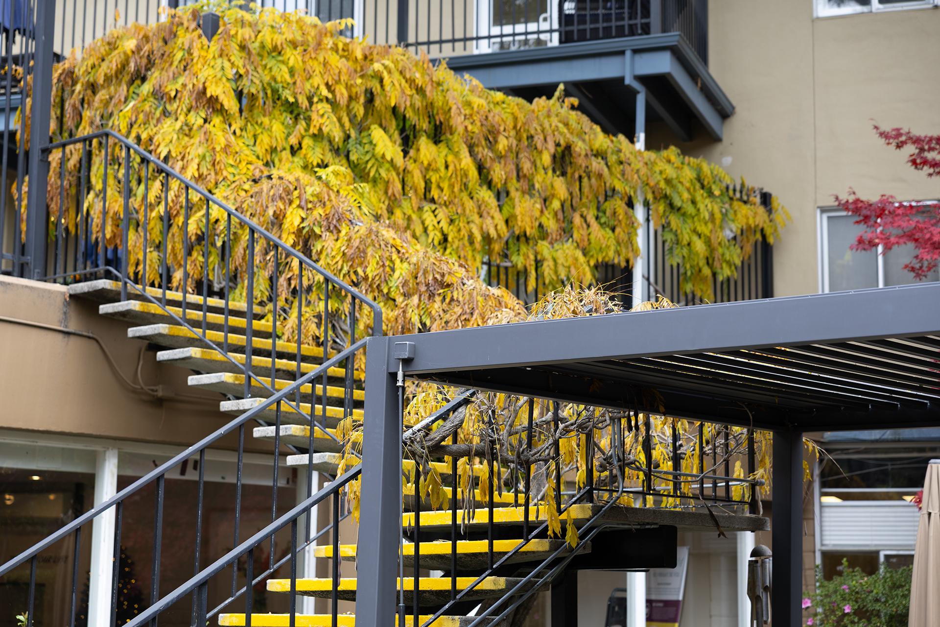 The WindChime Grounds (Fall) Image #7