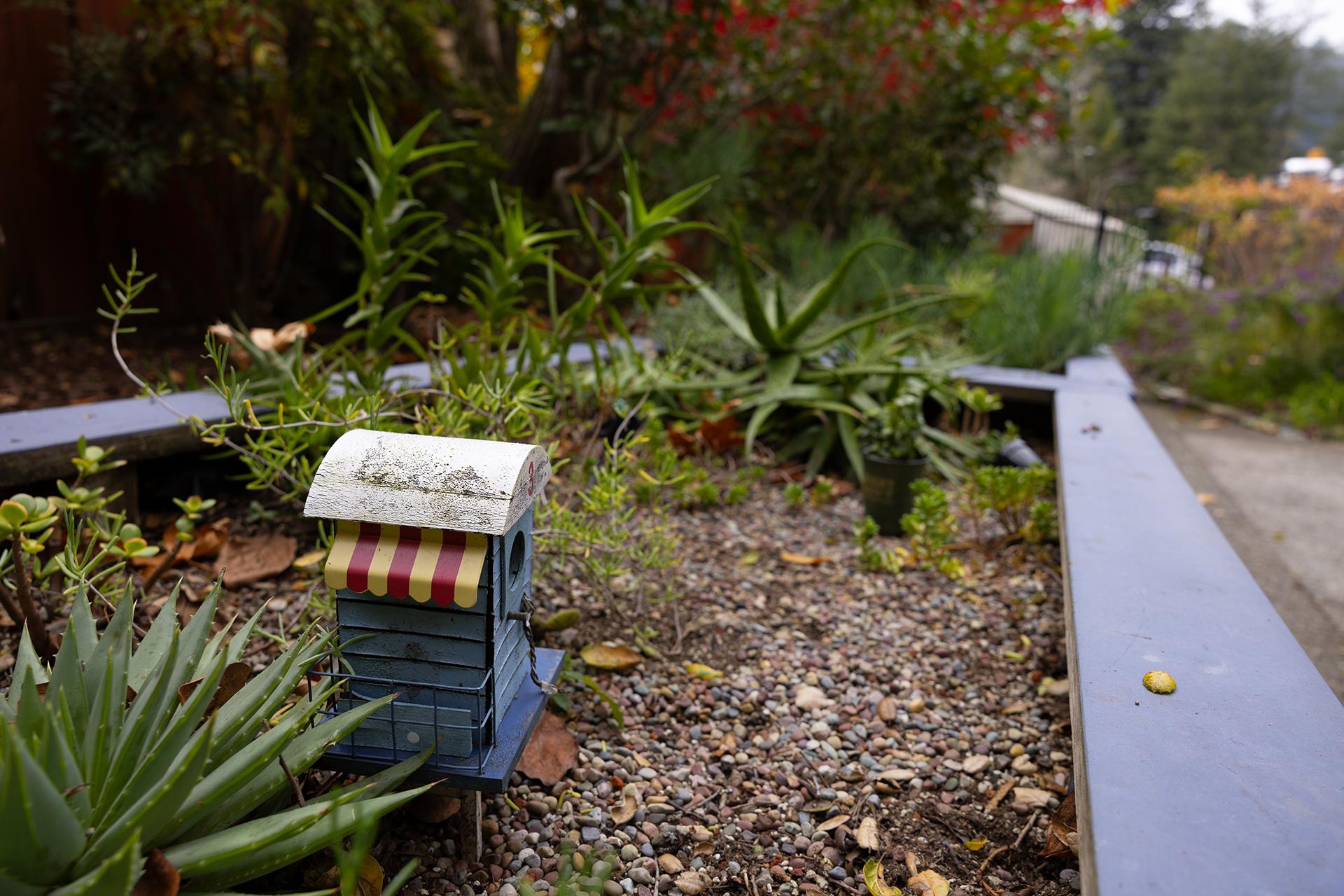 The WindChime Grounds (Fall) Image #8