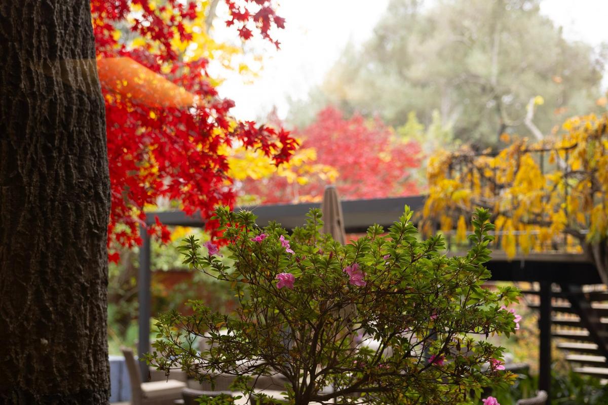 outdoor patio