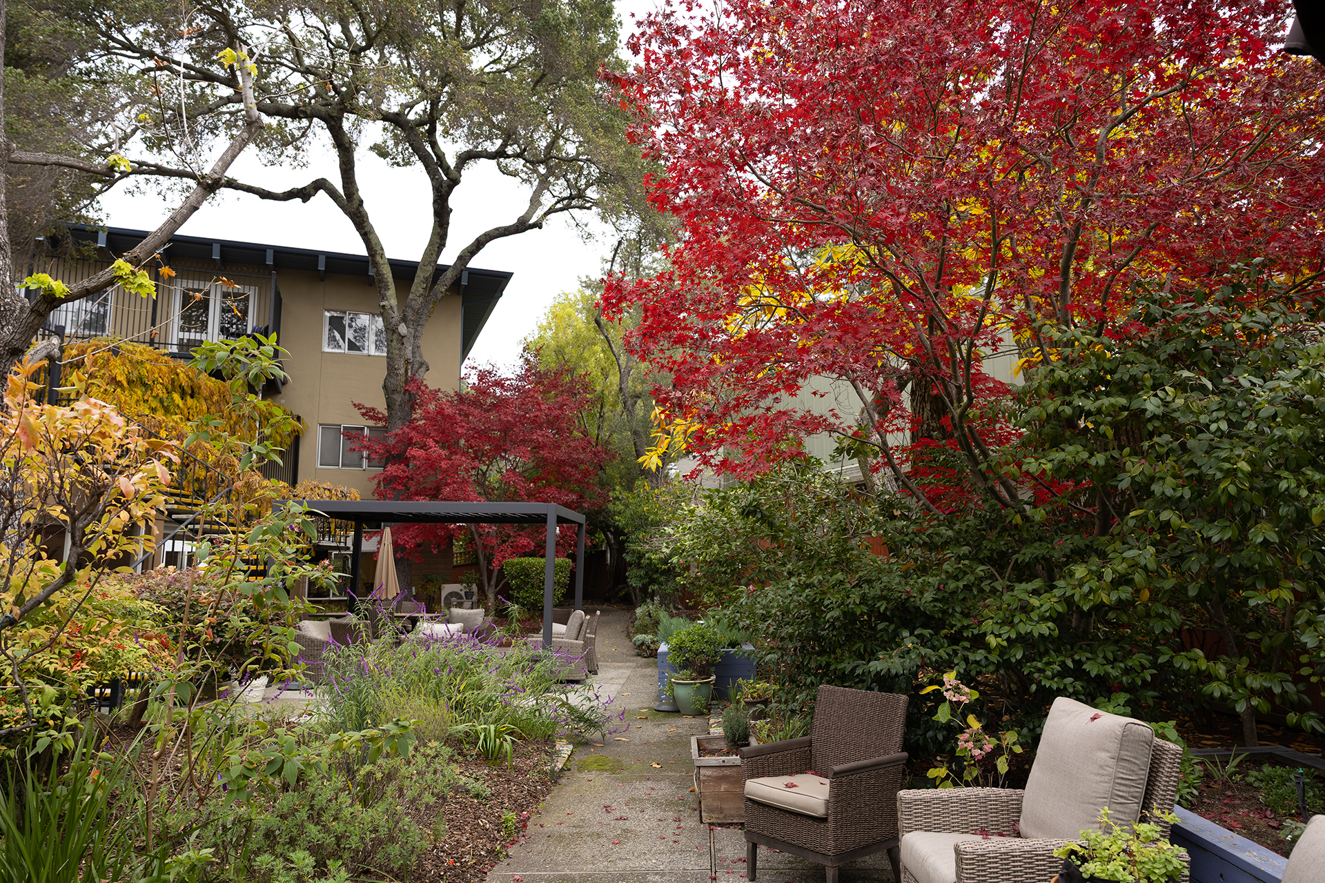 patio
