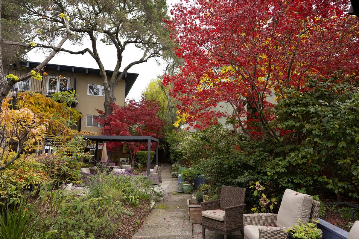 patio